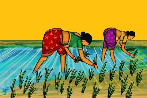 Rice Farming Illustrazione stock