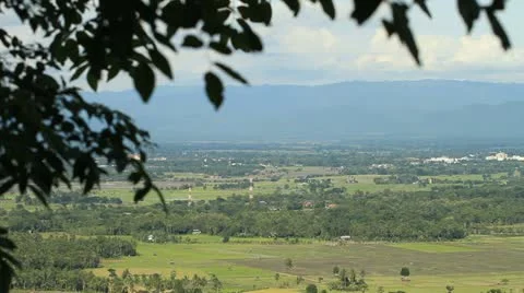 Rice farms 動画素材 11401163