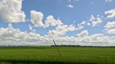 Rice field and blue sky Stock Footage 248111590