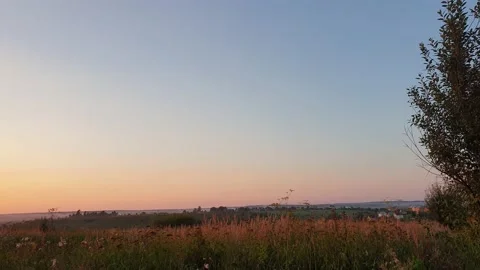Rice field and sunset Stock-Footage 138091787