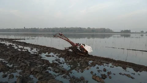 Rice Field on Drying Reservoir Stock Footage 341456506