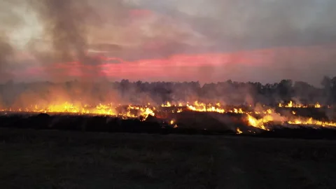 Rice field fire.arial view Stock Footage 152800904
