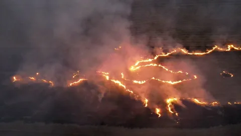 Rice field fire.arial view Stock Footage 152801111