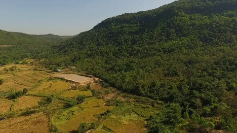 Rice field Видео 91981997