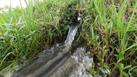 Rice Field Irrigation Stream with Mini Waterfall – Cloudy Afternoon Scene Stock-Footage 320892830