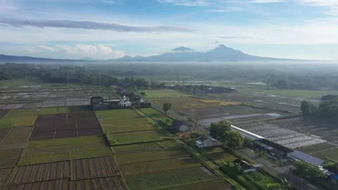 Rice Field with Merapi Mountain View in the morning Stock Footage 233786344