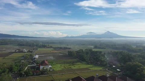 Rice Field with Merapi Mountain View in the morning Stock Footage 233787288