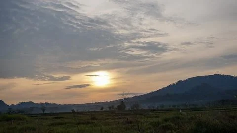 Rice field Stock Photos