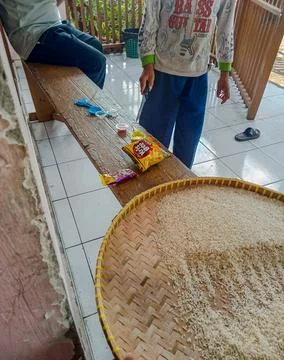 Rice field Stock-Fotos