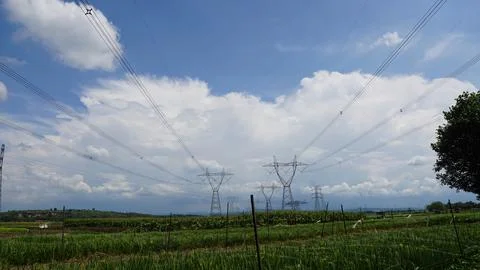 Rice field processing 写真素材