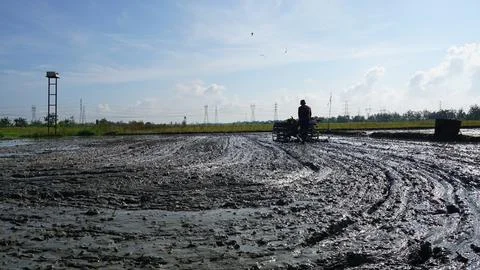 Rice field processing 写真素材
