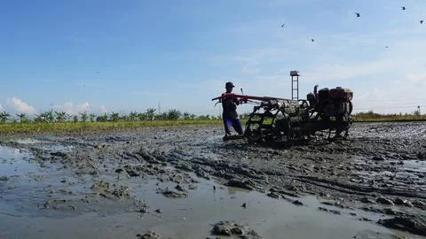 Rice field processing 写真素材