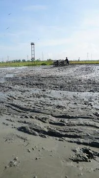 Rice field processing 写真素材