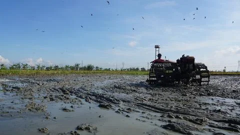 Rice field processing 写真素材