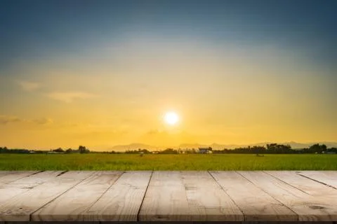 Rice field sunset and Empty wood table for product display and montage. Stock Photos
