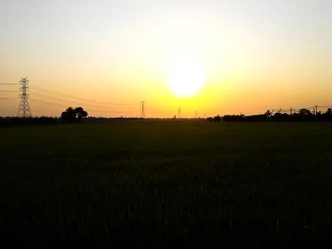 Rice field sunset Stock Photos