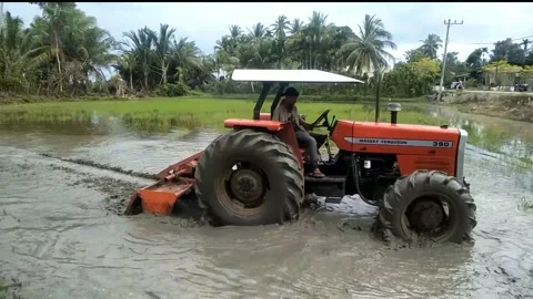 The rice field tractor engine is better 02 Stock Footage 272396293
