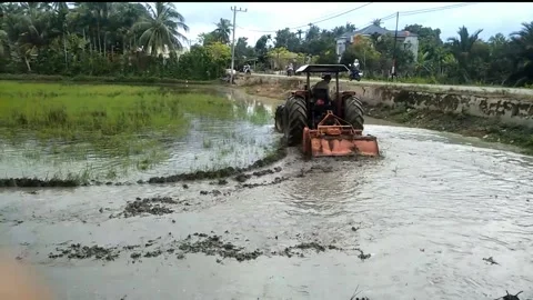 The rice field tractor engine is better Stock Footage 272396333