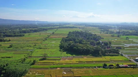 Rice field valley in Godean area, Yogyakarta, Java island, Indonesia Stock Footage 339294690