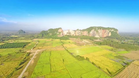 Rice field with workers ploughing the fields revealing surreal landscape, Stock Footage 256730038