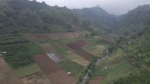 Rice fields against cloudy mountain hill next to river in 4K, Indonesia Stock Footage 200834201