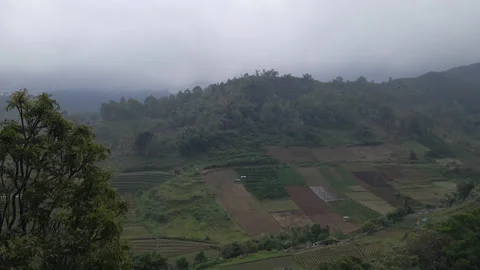 Rice fields against mountain hill on a cloudy day in 4K, Indonesia Stock Footage 200833729