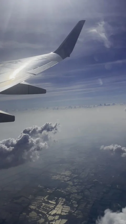 Rice fields airplane view Stock Footage 283816561