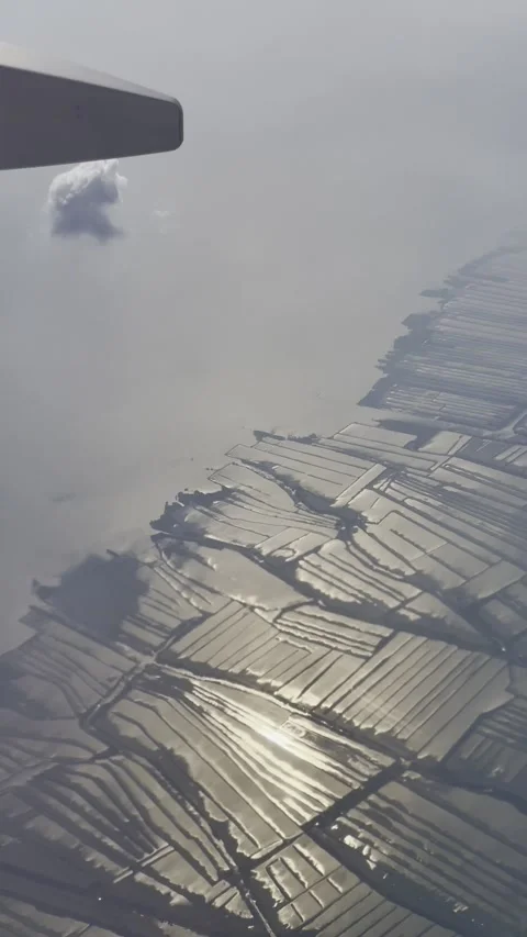 Rice fields airplane view Stock Footage 283816562