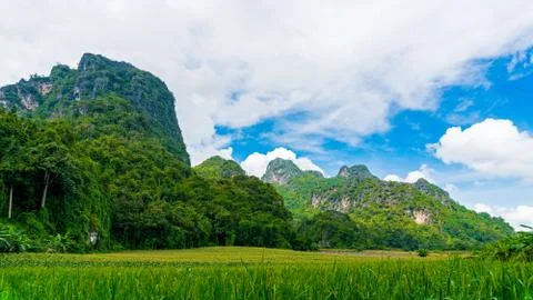Rice fields amidst limestone mountains with white cloud and blue sky. Stock Photos