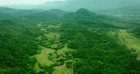 Rice Fields Amidst Tropical Mountain Range - Aerial Shot Stock Footage 310711738