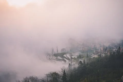 Rice fields and the dense for during the sunrise. Yuanyang rice terraces Stock Photos