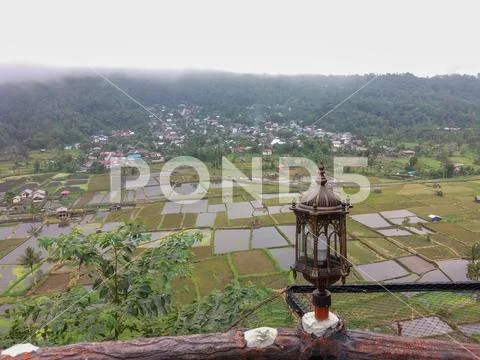 Rice fields and foggy small village view from high angle Stock Photos