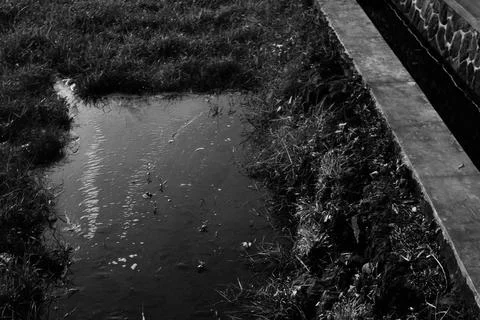 Rice fields and irrigation Stock Photos