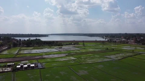 Rice fields and lake Stock Footage 188663260