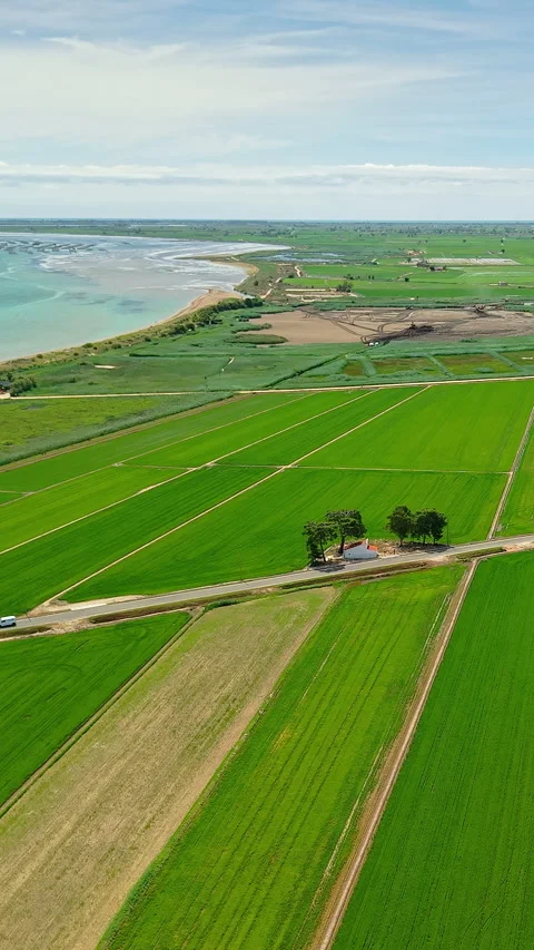 Rice fields and Mediterranean coastline in the Ebro Delta Stock Footage 340035198