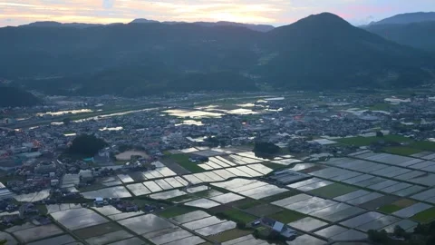 Rice fields and the morning glow seen from the summit Stock Footage 342229968