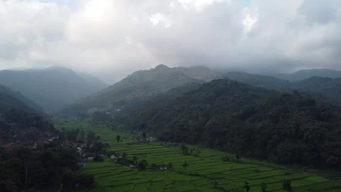 Rice fields and Mountains 13 Stock Footage 282448879