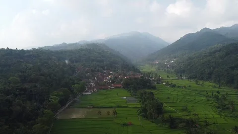 Rice fields and Mountains 8 Stock Footage 282448523
