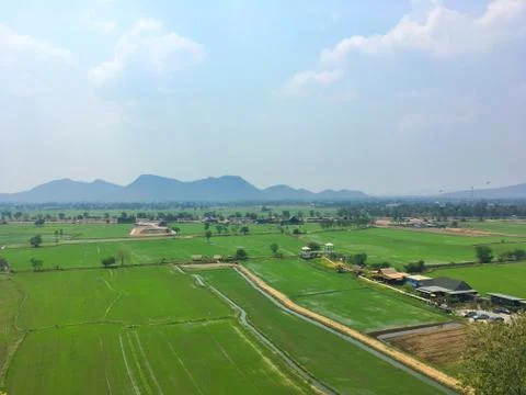 Rice fields and mountains background Stock Photos