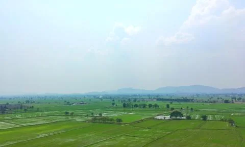 Rice fields and mountains background Foto stock