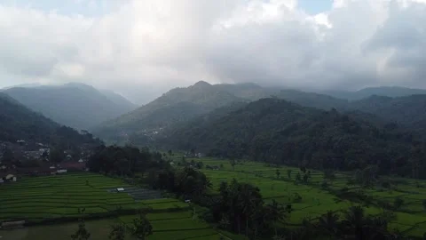 Rice fields and Mountains Stock Footage 282448832