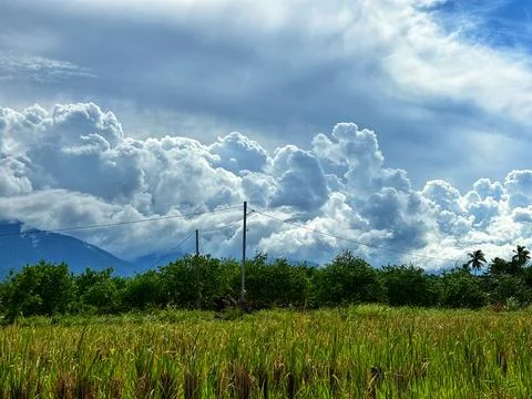 Rice fields and mountains Stock Photos