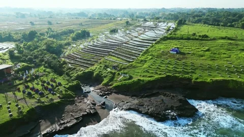 Rice fields and ocean shore on Bali island Stock Footage 263036058