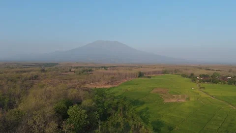 Rice Fields and Teak Forest Aerial with Mountain Stock Footage 346105355