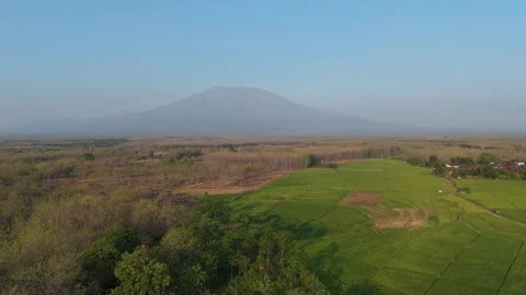 Rice Fields and Teak Forest Aerial with Mountain Stock-Footage 346105425