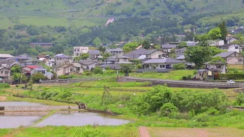 Rice fields and a train in Yufuin (Yufuin, Yufu City, Oita Prefecture) Stock Footage 341953109