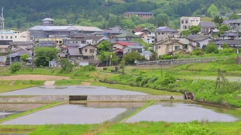 Rice fields and a train in Yufuin (Yufuin, Yufu City, Oita Prefecture) Stock Footage 341953191