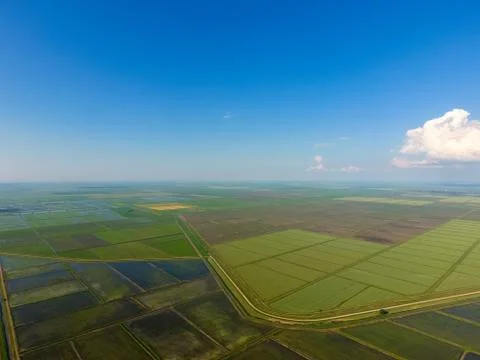The rice fields are flooded with water. Flooded rice paddies. Agronomic methods Stock Photos