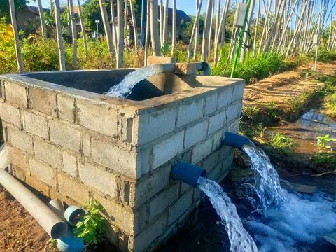 The rice fields are irrigated using pump wells with the technique of pumpin.. Stock Photos