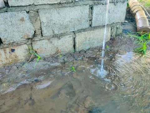 The rice fields are irrigated using pump wells with the technique of pumpin.. Stock Photos